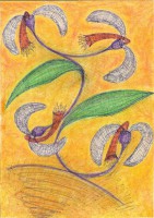 /album/harmonizacne-obrazky/a4-kvety-jpg/